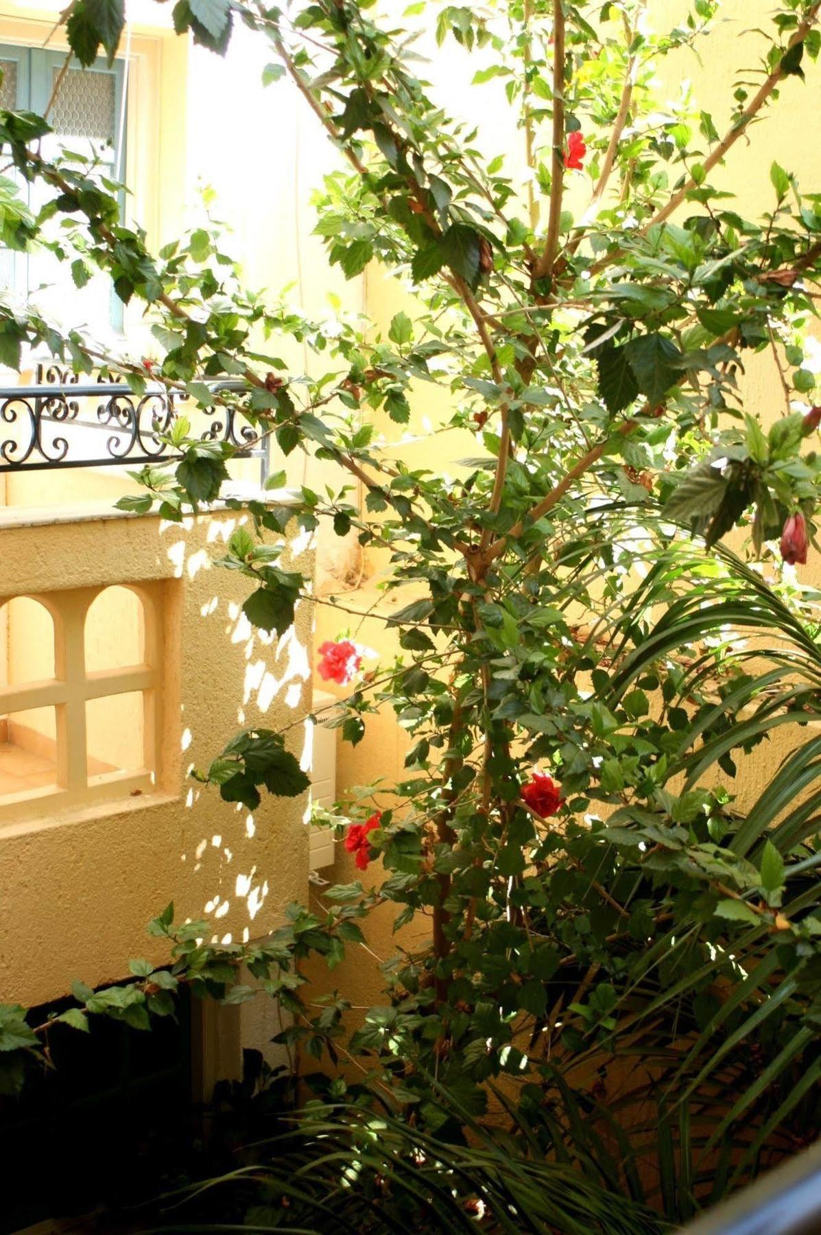 Orion Apartments Malia Dış mekan fotoğraf